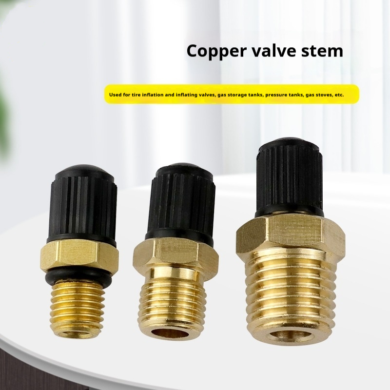 Tige de valve d'air en laiton  - Tire Inflator Nozzle Kit avis et prix